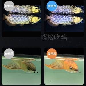 馬印魚(yú)缸燈怎么樣好用嗎知乎：馬印魚(yú)缸燈在水族愛(ài)好者中有著一定的口碑