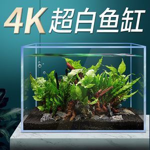 斗魚缸造景用什么底沙好看些：如何選擇斗魚缸造景底砂 魚缸百科 第3張