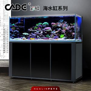 彩鰈魚缸的摩盒怎么樣：彩蝶魚缸的摩盒怎么樣 彩鰈魚缸（彩蝶魚缸） 第3張