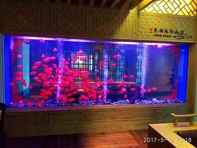 定做超大型亞克力魚缸：超大型亞克力魚缸價格