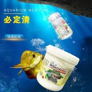 龍虎魟魚怎么檢疫：龍虎魟魚的檢疫方法 魟魚百科 第1張