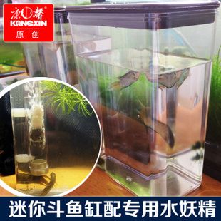 斗魚缸放底砂好不好：如何選擇合適的魚缸底砂 魚缸百科 第3張