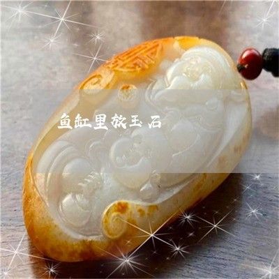 把玉放魚缸里好嗎視頻：將玉放入魚缸有什么風(fēng)險(xiǎn)？ 魚缸百科 第1張