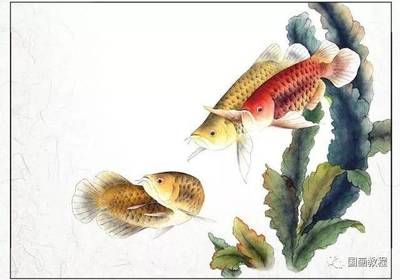 國(guó)畫金龍魚寓意什么意思和象征：國(guó)畫中的金龍魚是一種富有意義的選擇，寓意著財(cái)富和繁榮