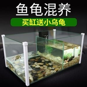 玻璃魚缸開裂如何處理最好視頻：玻璃魚缸開裂了怎么修補，修補方法 魚缸百科 第2張