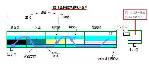 背濾魚缸濾材擺放圖：背濾魚缸濾材擺放順序和方法 魚缸百科 第3張