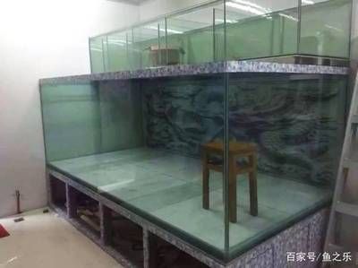 魟魚(yú)繁殖需要多大缸子養(yǎng)殖：魟魚(yú)繁殖需要多大缸子養(yǎng)殖呢