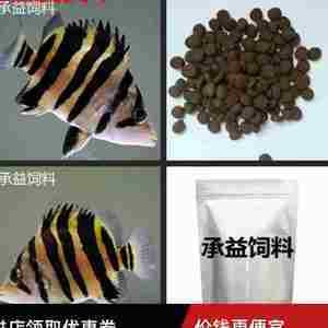 泰國(guó)虎吃什么飼料：泰國(guó)虎魚吃什么飼料 泰國(guó)虎魚 第3張