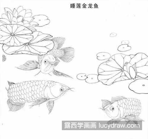 金龍魚怎么畫？：金龍魚的繪畫方法 龍魚百科 第3張