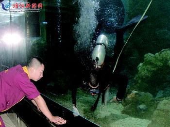 大魚缸怎么徹底清洗水垢視頻：如何清洗大魚缸水垢？ 魚缸百科 第2張