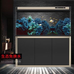 超白金晶魚缸排名第一位：超白金晶魚缸哪個牌子好 魚缸百科 第1張