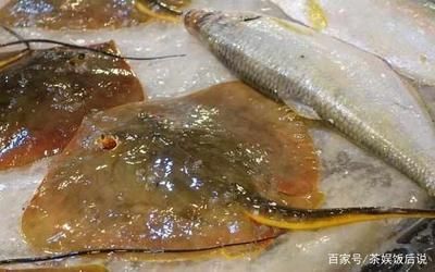 魟魚在水面上游什么意思啊視頻下載：魟魚在水面上游什么意思