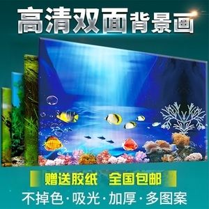 大魚魚缸造景圖案設計：大魚魚缸造景圖案設計是一項細致且富有創(chuàng)造力的工作 魚缸百科 第3張