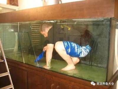 大型魚缸清理水垢：如何清洗大型魚缸水垢？ 魚缸百科 第1張