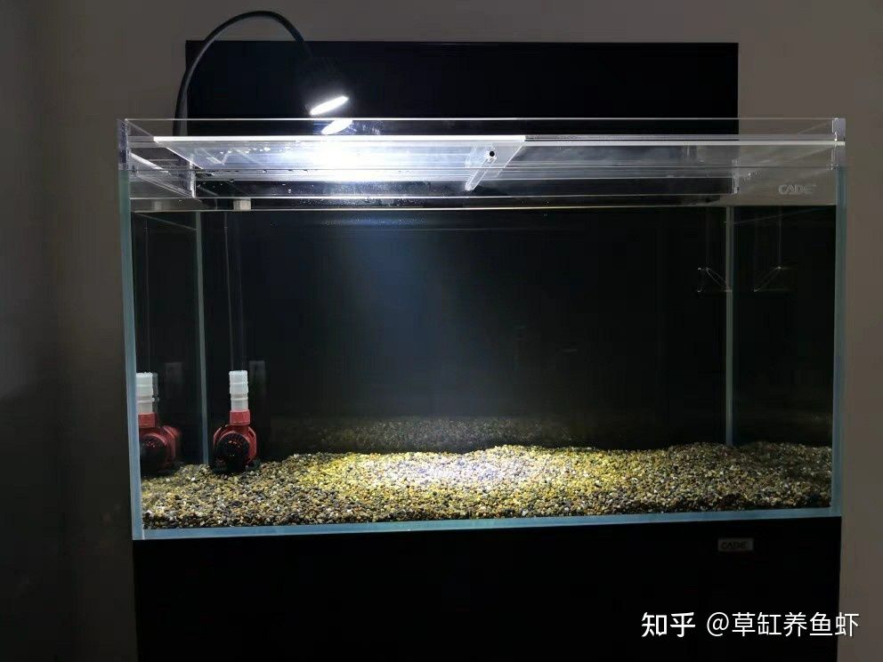 超白魚缸品牌哪個比較好：超白魚缸的尺寸注意事項在選擇超白魚缸的尺寸注意事項 魚缸百科 第2張