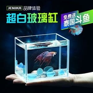 超白玻璃魚缸哪個(gè)品牌好一點(diǎn)：超白玻璃魚缸品牌推薦