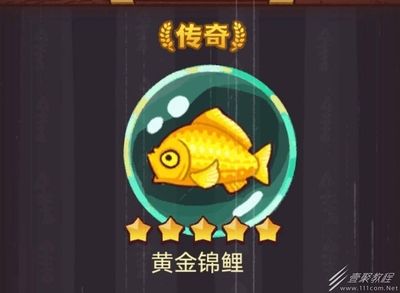 佩戴龍魚有什么好處：龍魚是一種傳統(tǒng)的吉祥物