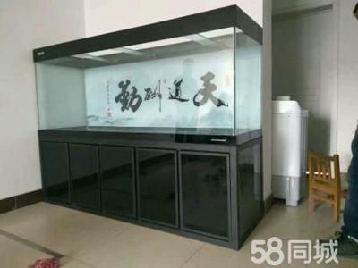 彩蝶魚缸是什么檔次：彩蝶魚缸在中端市場(chǎng)中具有一定的檔次