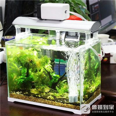 大型魚缸過濾器哪種好用一點：大型魚缸過濾器的選擇