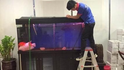 大型魚缸怎么全部換水：大型魚缸全部換水的步驟和注意事項(xiàng)