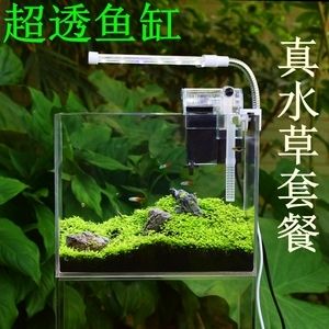 斗魚缸適合放什么裝飾品：如何選擇斗魚缸裝飾品？ 魚缸百科 第3張