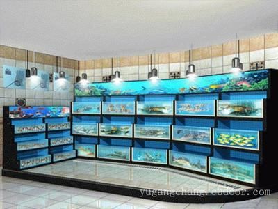 玻璃魚缸景觀效果圖：萊蕪市億燕水族景觀制作有限公司玻璃魚缸效果圖 魚缸百科 第2張