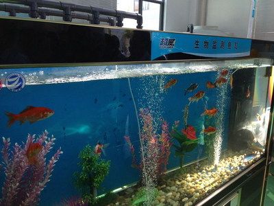 大蘇打魚缸水渾濁變澄清的原因：魚缸水變渾濁的原因及解決方法魚缸水變渾濁的原因及處理方法 魚缸百科 第3張