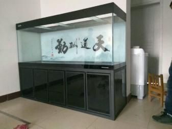 彩蝶魚缸玻璃厚度：彩蝶魚缸玻璃厚度可能會根據具體型號和尺寸有所不同 彩鰈魚缸（彩蝶魚缸） 第3張