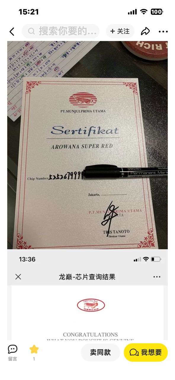 孟吉爾紅龍的證書：孟吉爾小孟的編號是手寫的還是手寫的 觀賞魚論壇