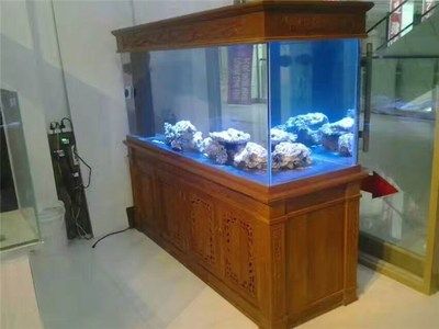 定做的魚缸為什么比成品缸好用：定做魚缸與成品缸的區(qū)別 魚缸百科 第4張