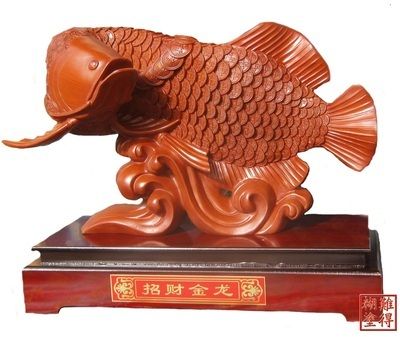 招財(cái)龍魚怎么養(yǎng)最好：招財(cái)龍魚擺件擺放方法和注意事項(xiàng)