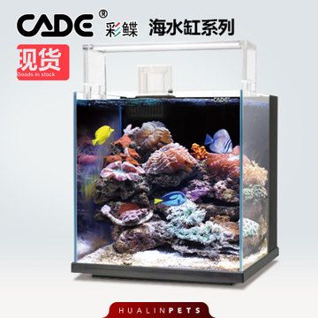 彩鰈水族有限公司官網(wǎng)：彩鰈水族有限公司官網(wǎng)信息并未直接給出 彩鰈魚(yú)缸（彩蝶魚(yú)缸） 第1張