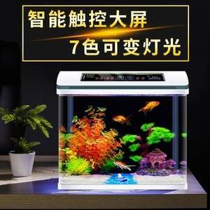 不用打理的魚缸：不用打理的魚缸是怎樣的？