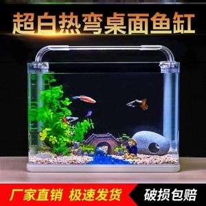 不用打理的魚缸：不用打理的魚缸是怎樣的？