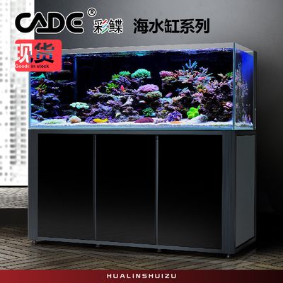 彩鰈水族官網(wǎng)：彩鰈水族用品廠官方旗艦店在京東上提供了各種水族用品的購(gòu)買(mǎi)服務(wù)