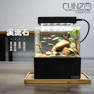 不需要打理的魚缸魚：不需要打理的魚缸