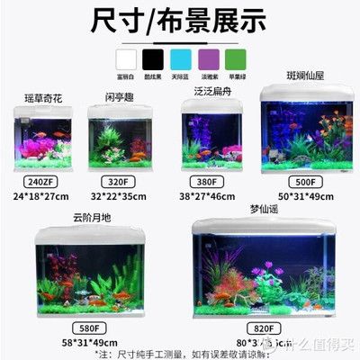 除魚缸青苔的魚能吃嗎：清理魚缸青苔的方法