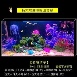 大魚缸怎么造景好看視頻：尋找大魚缸造景視頻教程&c6h8o7na3+c6h5o7na3+ 魚缸百科 第2張