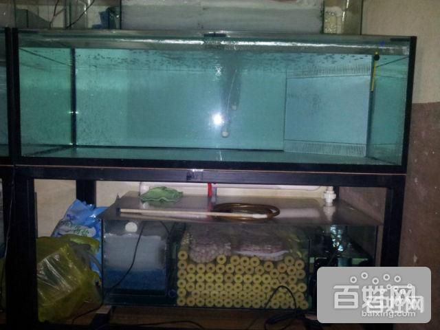 魟魚總往魚缸上面游：為什么[需手動(dòng)填充]魚總往魚缸上面游