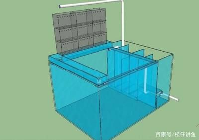 側濾魚缸進水口設計：側濾魚缸側濾進水口的設計應該如何擺放魚缸過濾材料