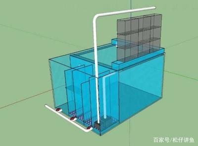 側濾魚缸進水口設計：側濾魚缸側濾進水口的設計應該如何擺放魚缸過濾材料