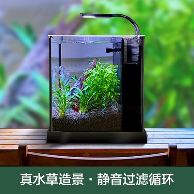 超白魚(yú)缸刮花了：超白魚(yú)缸刮花怎么辦？