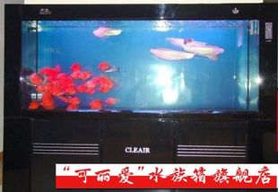 彩蝶海水缸底濾分布 彩鰈魚缸（彩蝶魚缸） 第3張