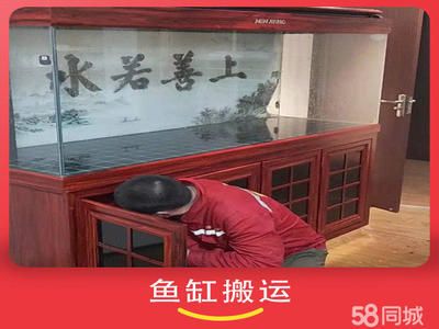 搬家公司搬魚缸多少錢一個月呢：搬家公司搬魚缸收費標準 魚缸百科 第2張