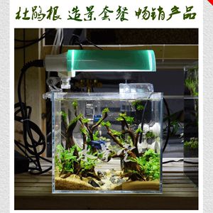 大魚缸水草哪種好養(yǎng)：大魚缸水草的選擇水草需要注意以下幾點(diǎn)和養(yǎng)護(hù)要點(diǎn) 魚缸百科 第3張