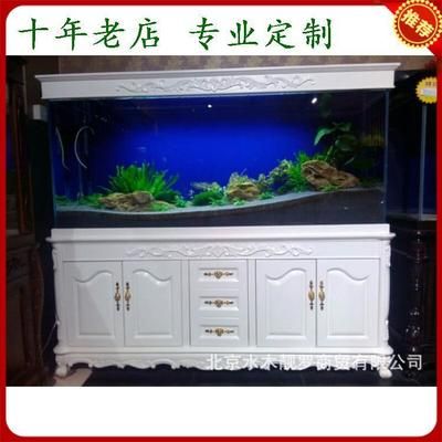 大型魚(yú)缸定制價(jià)格：大型魚(yú)缸定制價(jià)格受多種因素影響大型魚(yú)缸定制的注意事項(xiàng) 魚(yú)缸百科 第1張