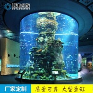 彩蝶海水魚缸怎么樣：彩蝶品牌的海水魚缸怎么樣？ 彩鰈魚缸（彩蝶魚缸） 第1張