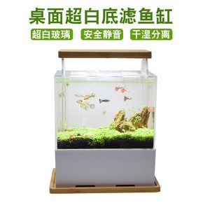 白底白背景魚缸養(yǎng)什么魚好：如何選擇適合白底白背景的魚缸？ 魚缸百科 第1張