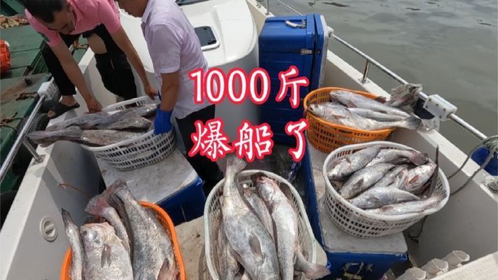 魟魚拉的多嗎：關(guān)于魟魚的排便情況，我們可以得出以下結(jié)論：[需手動(dòng)填充]魚的排便情況 魟魚百科