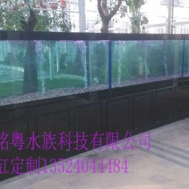 大型觀賞魚缸定制：大型觀賞魚缸定制與水族工程提供大型觀賞魚缸定制服務 魚缸百科 第4張